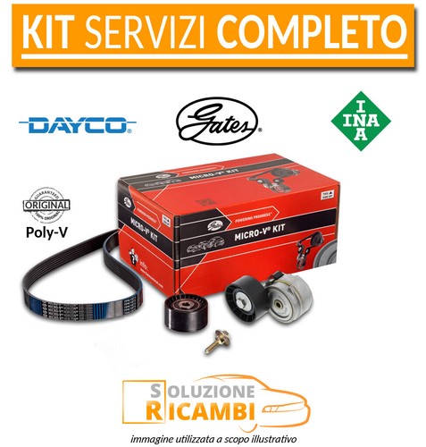 Kit cinghie servizi ford - servizi,